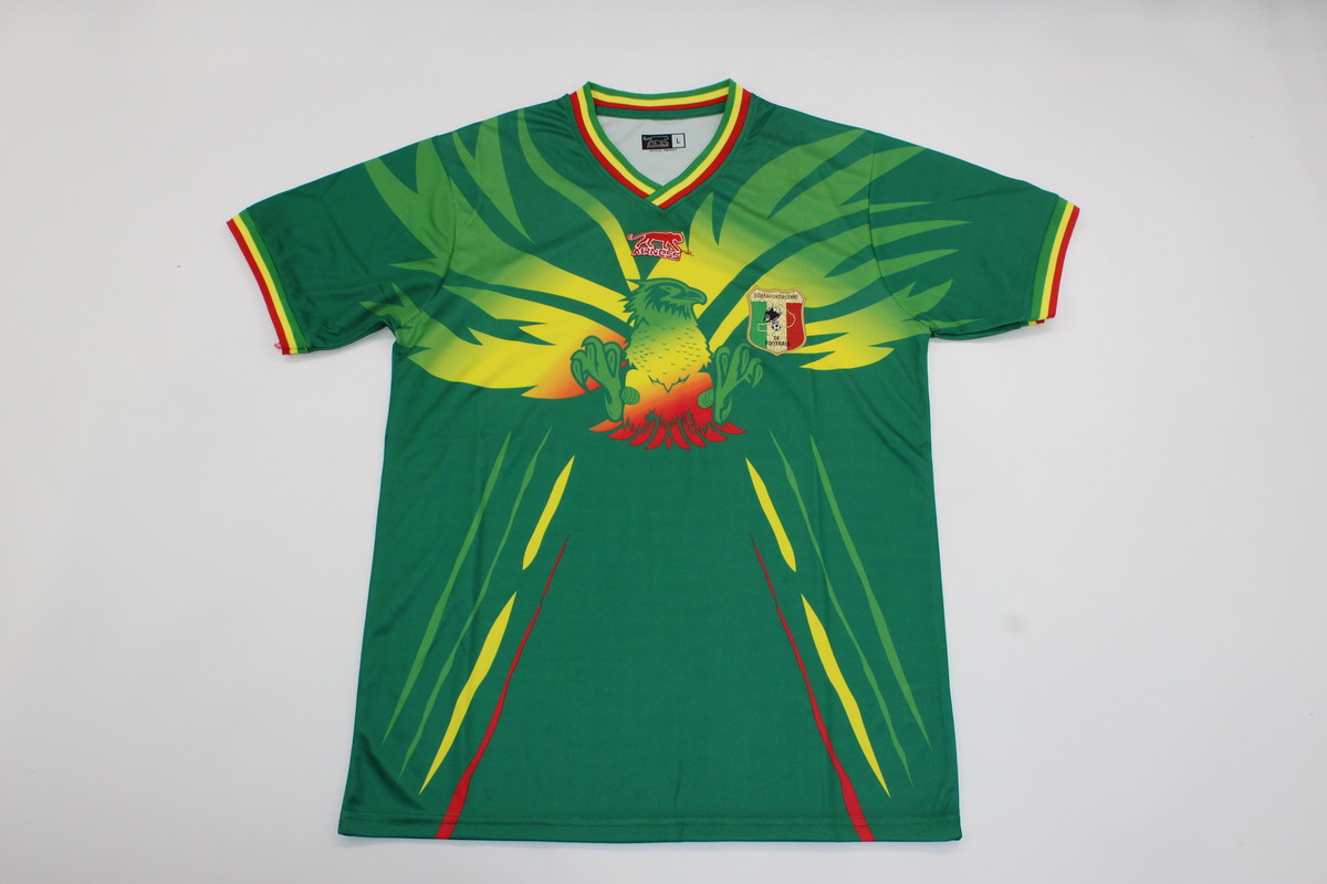 AAA Quality Mali 2023 Africa Cup Away Green Soccer Jersey